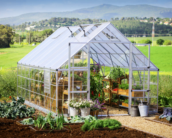 Canopia by Palram 10 ft. Wide Balance Greenhouse Series