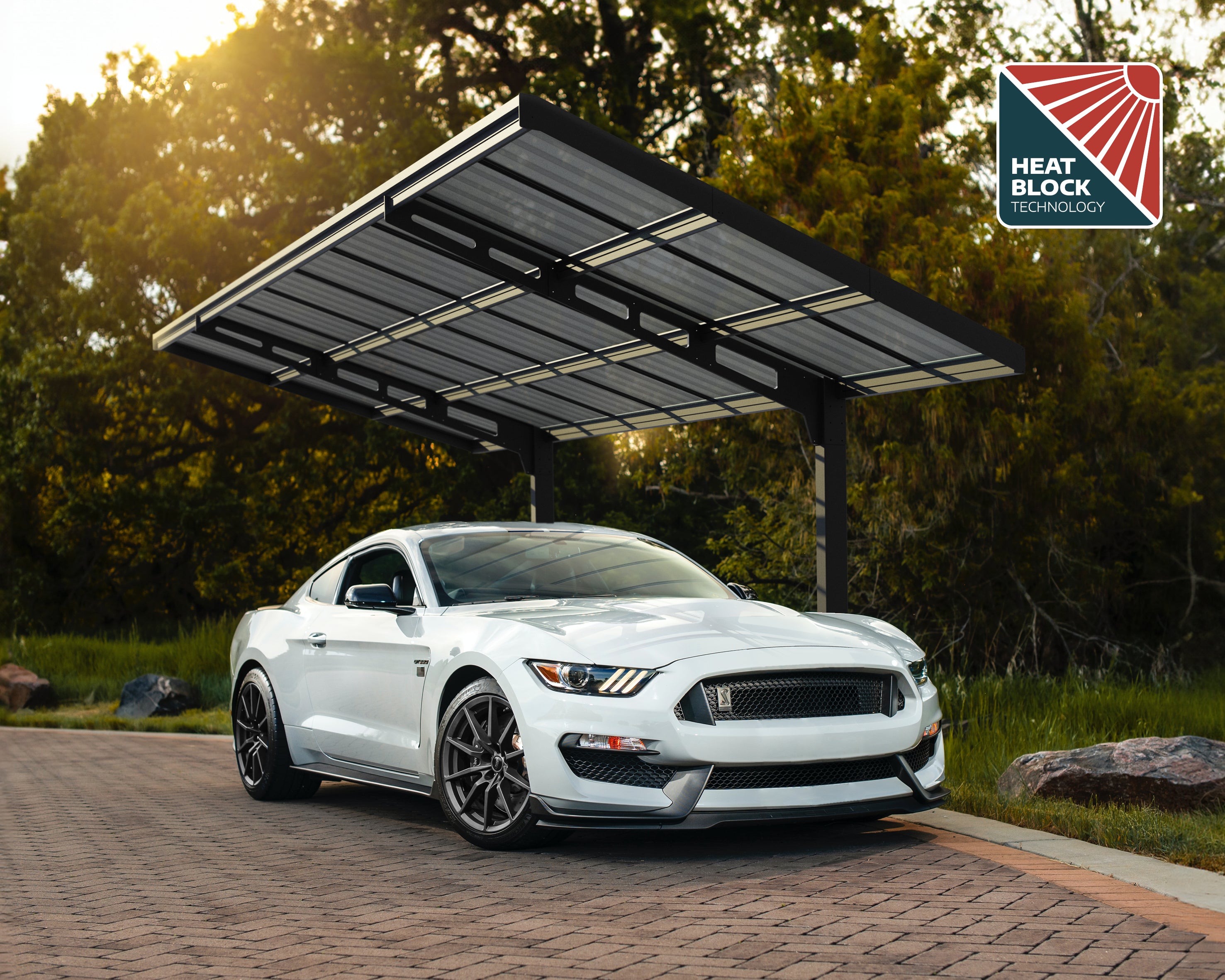 Canopia by Palram - Sydney 10 ft. x 20 ft. Wave Carport - Black