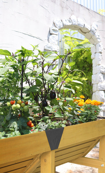 VegTrug Classic 1.8m Raised Garden Bed Planter